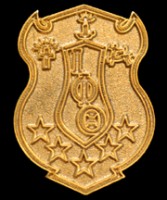 Gold Shield Lapel Pins - Iota Phi Theta 